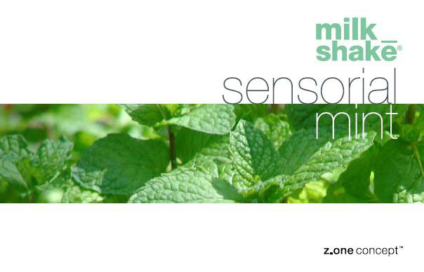 sensorial mint milkshake